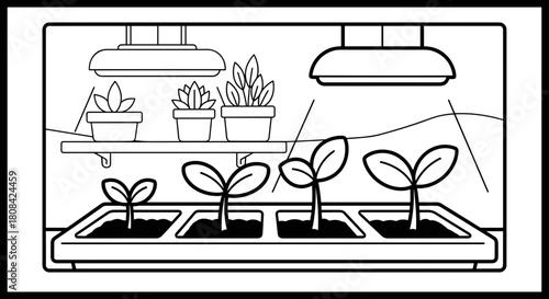 Line drawing of seedlings growing under lights in a greenhouse  