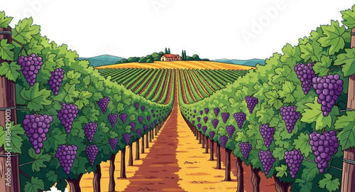 vineyard in the spring