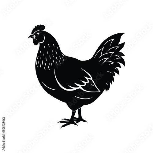 Classic black silhouette of a chicken hen, farm animal graphic isolated on white background
