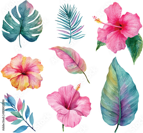watercolor pink tropical flowers set hand drown illustration