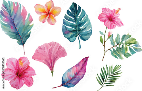 watercolor pink tropical flowers set hand drown illustration