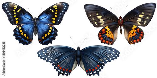 Three colorful butterflies on transparent background isolated on a transparent background 2