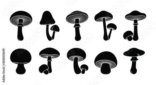 A collection of diverse black and white mushroom illustrations in varying shapes