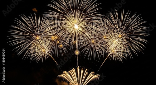 Fireworks display against dark sky