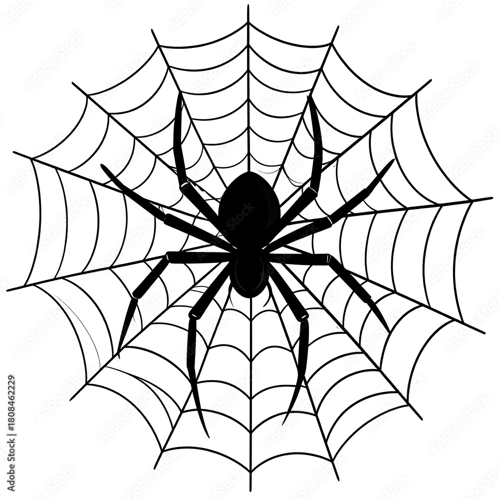 Obraz premium Black silhouette of a spider centered in its web, both against a stark white backdrop. Detailed lines form a circular web
