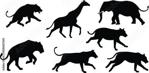 Collection of wild animal silhouettes including big cats, giraffe, and elephant, representing wildlife diversity, safari creatures, nature illustration, and detailed animal vector set