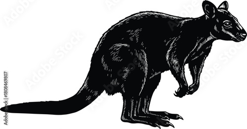 Detailed black silhouette illustration of a kangaroo-like marsupial in side profile, showcasing textured fur, long tail, strong legs, and natural wildlife posture