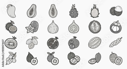 Collection of Exotic Tropical Fruits and Berries Hand Drawn Vector Illustration Set, Fresh and Ripe Fruits