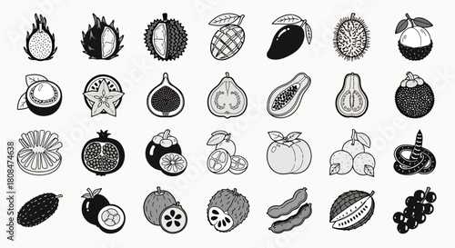 Collection of exotic tropical fruits in a flat design style, isolated on a white background, vector illustration