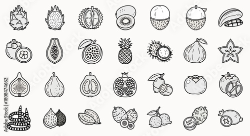 Collection of exotic tropical fruits in a simple outline doodle style, vector set