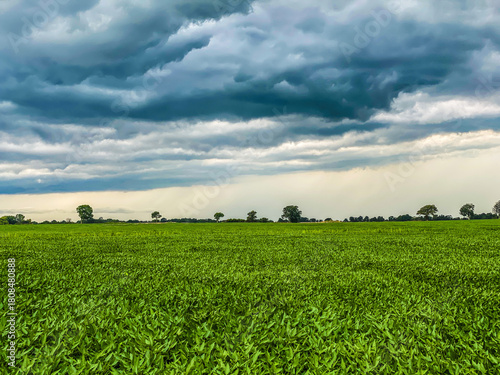 Storm clouds gather in the dark sky. The weather background is over a field with a green landscape.