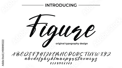 Figure - Elegant Script Font for Smooth Handwritten Design and Creative Typography