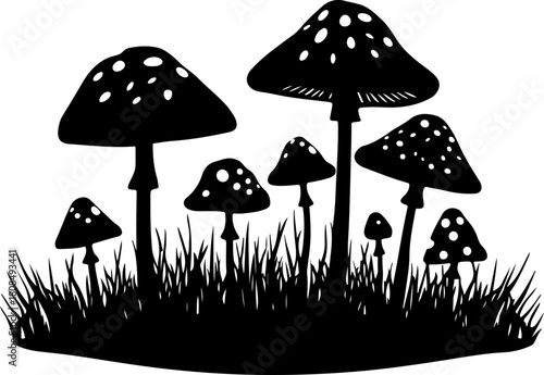 mushrooms in the grass