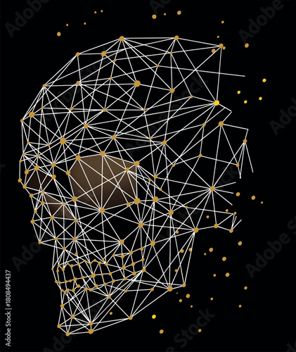 Stylized skull structure illustration. Wireframe style art.