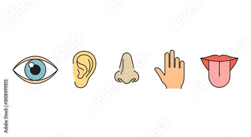 Iconic representation of five human senses, sight, hearing, smell, touch, and taste
