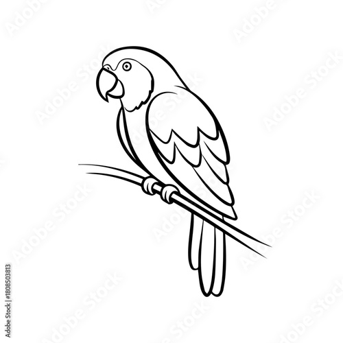 A simple black and white line art illustration of a parrot perched on a branch, ideal for coloring book pages and educational material for children
