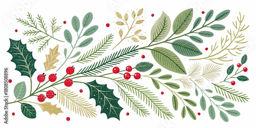 Vector  christmas  illustration of various christmas foliage and red berries on white