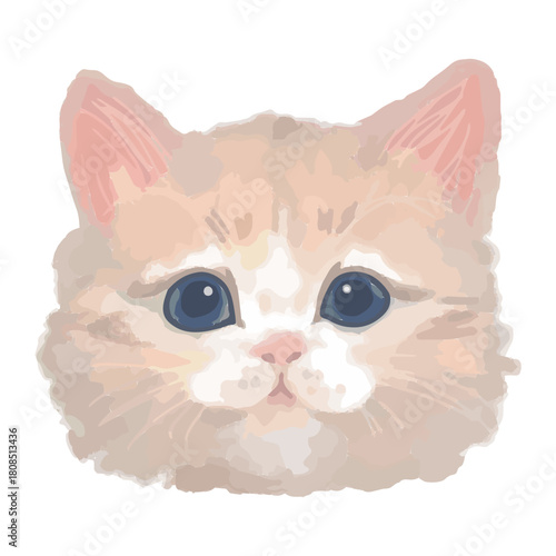 Realistic Cats of the World –Norwegian Forest Cat – Face Vector Illustration