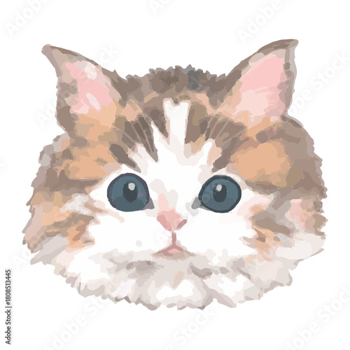 Realistic Cats of the World –Norwegian Forest Cat – Face Vector Illustration