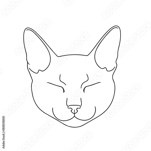 Zen Cat Portrait Minimalist Line Art of a Serene Feline Companion
