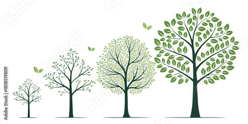 Vector  christmas  growth stages depicted by four trees with varying leaf density