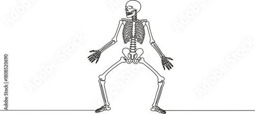 Black outline human skeleton standing with arms outstretched