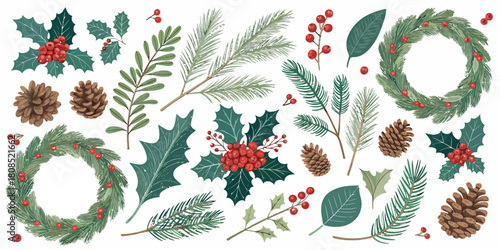 Vector  christmas  assorted christmas plants with wreaths and pine cones scattered art
