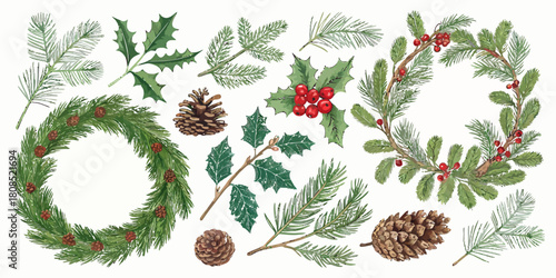 Vector  christmas  assorted christmas foliage with wreaths and pine cones scattered