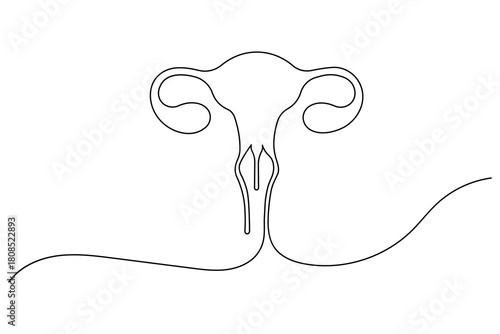  Women's Uterus and Ovary continuous one line drawing Female reproductive system uterus isolated vector illustration