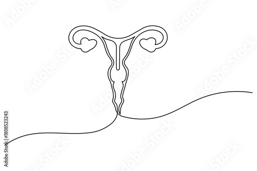  Women's Uterus and Ovary continuous one line drawing Female reproductive system uterus isolated vector illustration