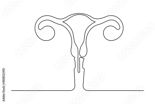  Women's Uterus and Ovary continuous one line drawing Female reproductive system uterus isolated vector illustration