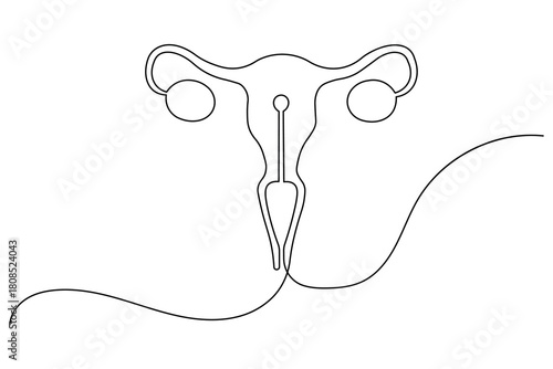 Women's Uterus and Ovary continuous one line drawing, Female reproductive system uterus isolated vector illustration