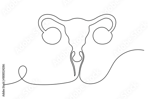 Women's Uterus and Ovary continuous one line drawing, Female reproductive system uterus isolated vector illustration