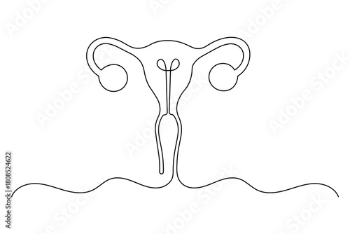 Female women uterus continuous one line drawing of minimalist vector illustration