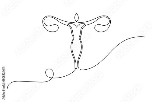 Female women uterus continuous one line drawing of minimalist vector illustration