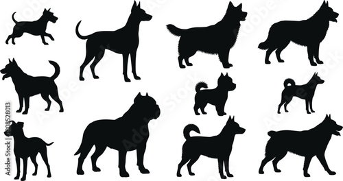 Dog silhouette, breed variety, black outline, pet posture, canine shape, standing dog, motion pose, tail type, ear style, fur texture