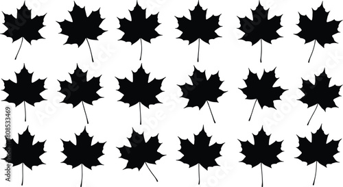 Set of black silhouettes of maple leaves, autumn nature foliage vector collection, Canadian symbol isolated on white background.