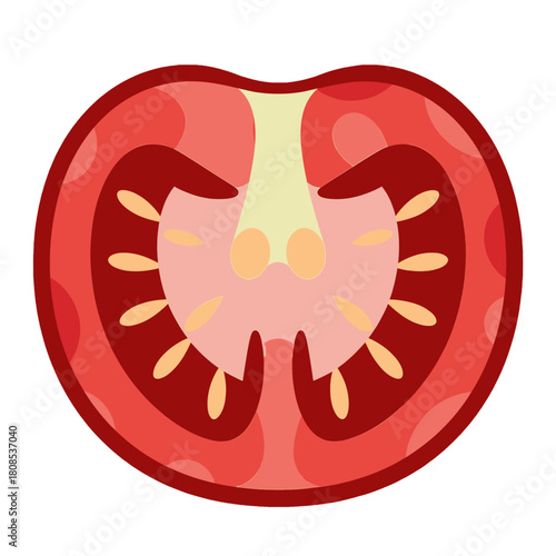 Cross-Section of a Ripe Tomato with Seeds