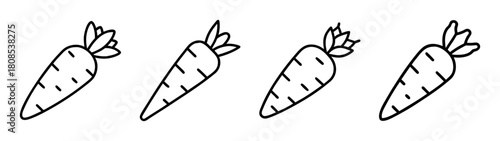 Line art carrots, simple vegetable icons, healthy food concept