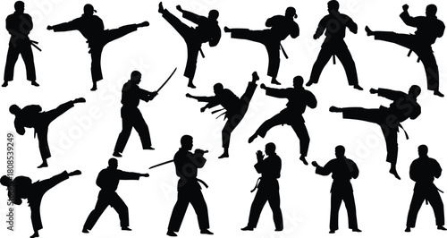 Martial arts silhouette, high kick, combat stance, weapon pose, traditional uniform, black outline, white background, fighter motion, training discipline, technique
