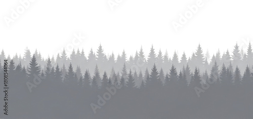Abstract forest silhouette with reflective ground transparent background cutout png