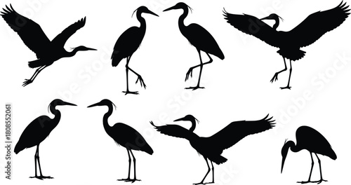Vector set of heron silhouettes, standing and flying wading birds isolated on white background, egret flock illustration for wildlife nature design