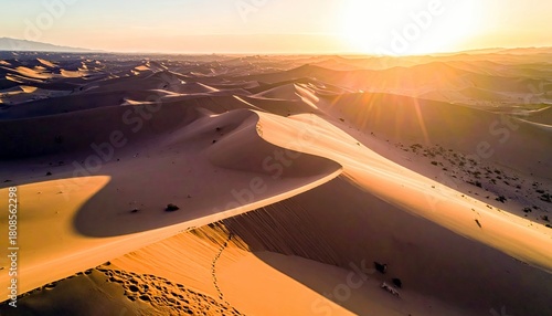 Fototapeta Naklejka Na Ścianę i Meble -  Vast desert landscape with rolling sand dunes bathed in the warm glow of a setting sun, casting long shadows and creating dramatic light.