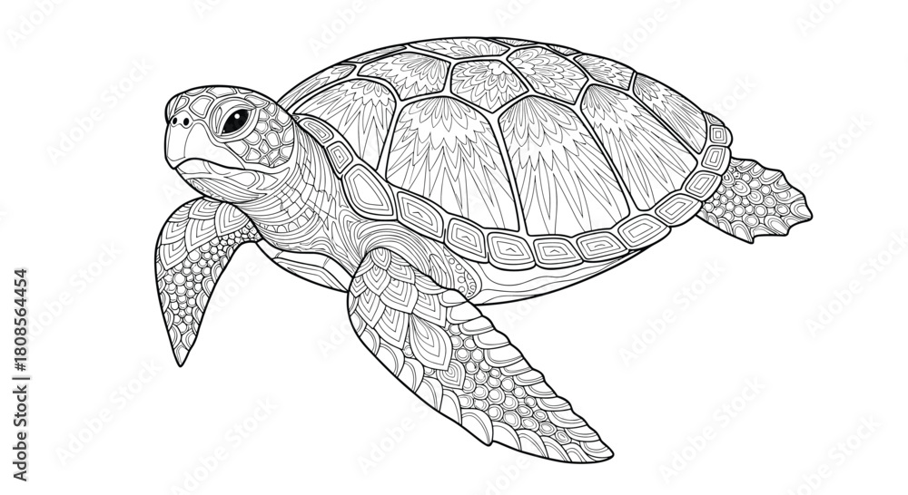 Fototapeta premium Highly detailed black and white line art illustration of a sea turtle perfect for a coloring book or nature design.