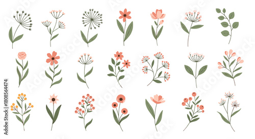 Large collection of delicate hand-drawn wildflowers and botanical branches in soft pastel colors for elegant design projects.
