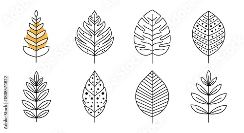 Collection of eight different stylized leaf illustrations in black and white with one colored element.
