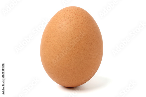 Fresh egg laid upright. isolated on white background.