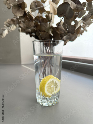 Fresh Lemonade Water in Glass with Eucalyptus Vase Decor for Refreshing Home Design