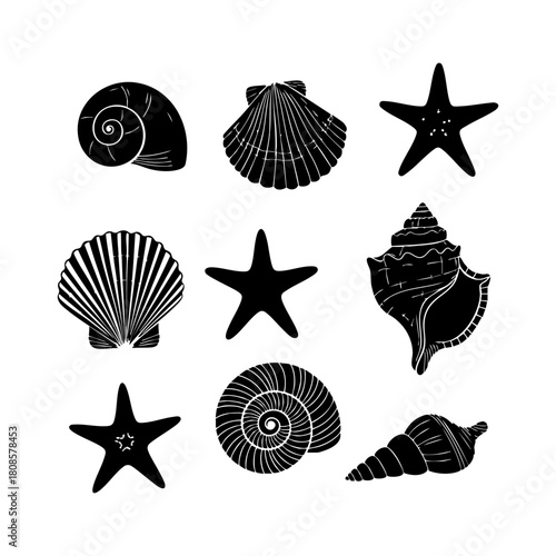 Collection of different black sea shells and starfish vector. Seashells black icons set silhouette illustration.