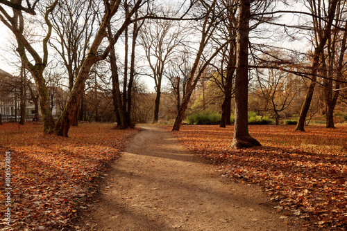 Photography Park